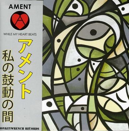 Jeff Ament - While My Heart Beats