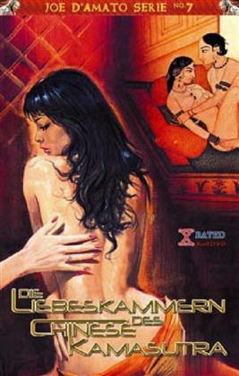 Die Liebeskammern des Chinese Kamasutra (1993) (Grosse Hartbox, Cover B, Joe D'Amato Serie, Uncut)