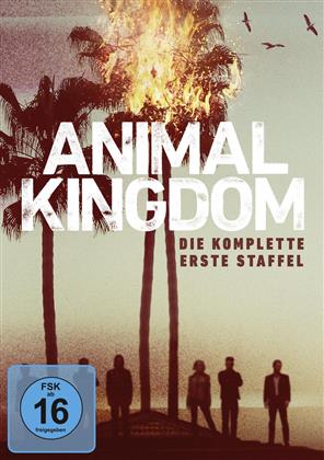 Animal Kingdom - Staffel 1 (3 DVDs)