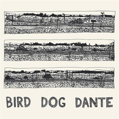 John Parish - Bird Dog Dante (LP)