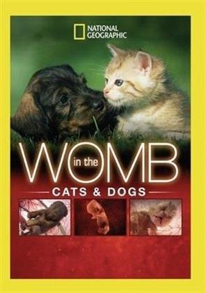 National Geographic - In The Womb - Cats & Dogs