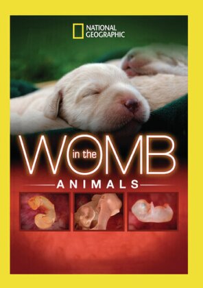 National Geographic - In The Womb - Animals