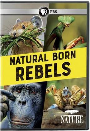 Natural Born Rebels (2017) (Nature)