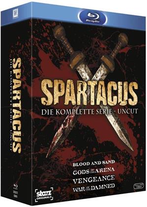 Spartacus - Blood and Sand / Gods of the Arena / Vengeance / War of the Damned - Die komplette Serie (Uncut, 15 Blu-ray)