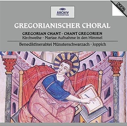 Godehard Joppich & Mönche der Benediktinerabtei Münsterschwarzach - Gregorianischer Choral