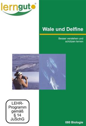 Wale und Delfine - Besser verstehen und schützen lernen