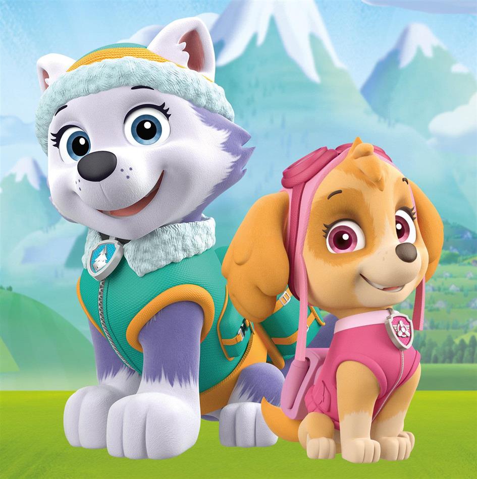 Paw Patrol - Ein neuer Fellfreund! - CeDe.ch