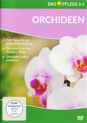Orchideen - Das Pflege-1x1