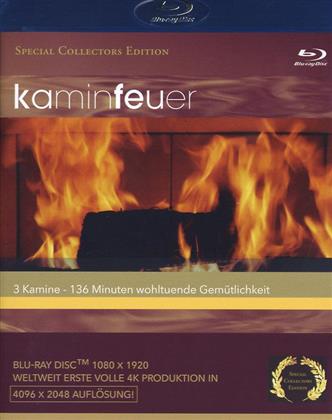 Kaminfeuer (Special Collector's Edition)