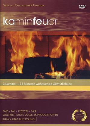Kaminfeuer (Special Collector's Edition)