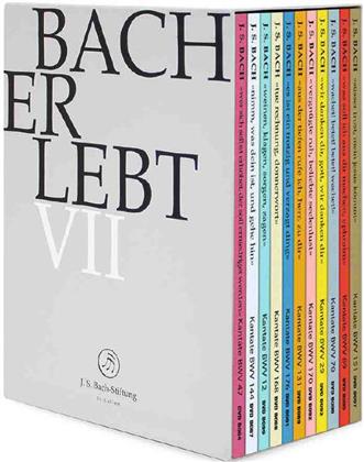 J.S. Bach-Stiftung St.Gallen - Bach er lebt VII (11 DVDs)
