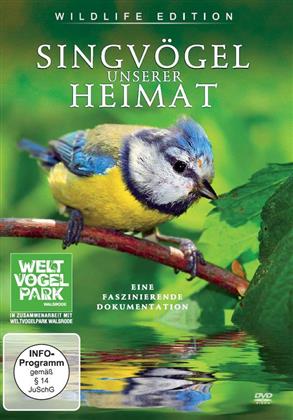 Singvögel unserer Heimat (Wildlife Edition)
