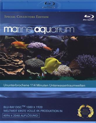 Marine Aquarium (Special Collector's Edition)