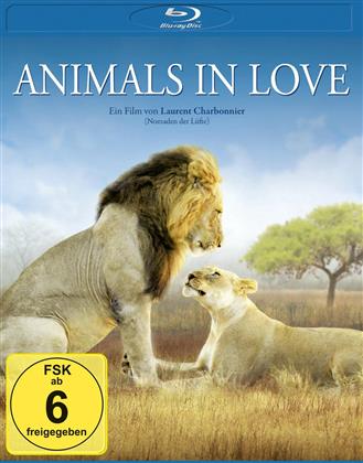 Animals in Love - Tierisch verliebt