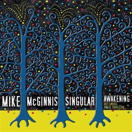 Mike McGinnis, Art Lande & Steve Swallow - Singular Awakening