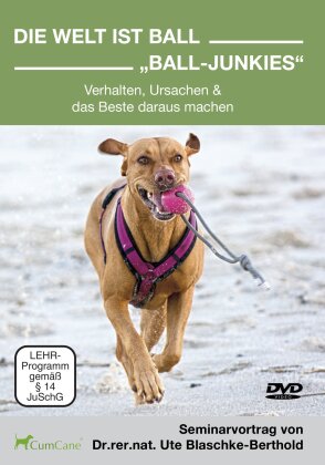 Die Welt ist Ball - Ball-Junkies (2 DVDs)