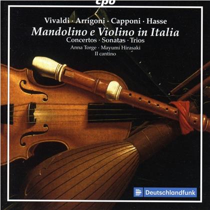Anna Torge, Mayumi Hirasaki, Antonio Vivaldi (1678-1741), Carlo Arrigoni, Johann Adolf Hasse (1699-1783), … - Mandolino E Violino In Italia