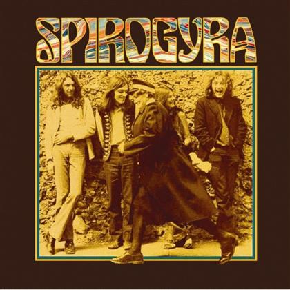 Spirogyra - St Radiguns