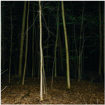 Express Rising - Fixed Rope II (LP)
