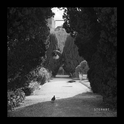 Stepart - The Curve (Limited Edition, 12" Maxi)