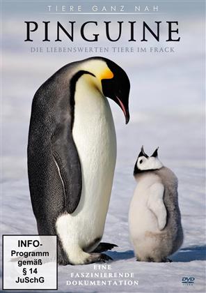 Pinguine - Die liebenswerten Tiere im Frack (Tiere ganz nah)