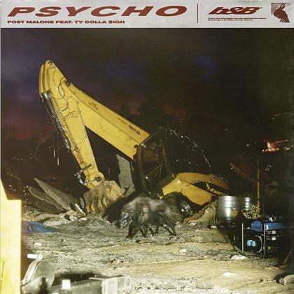 Post Malone & Ty Dolla Sign - Psycho (2 Track)
