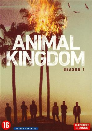 Animal Kingdom - Saison 1 (3 DVD)