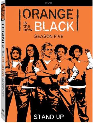Orange Is The New Black - Season 5 (4 DVDs)