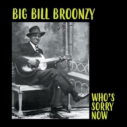 Big Bill Broonzy - Who's Sorry Now (Wax Love, LP)