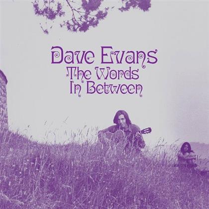 Dave Evans - Words In Between (LP)