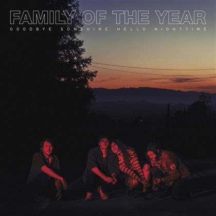 Family Of The Year - Goodbye Sunshine Hello Nighttime (LP)