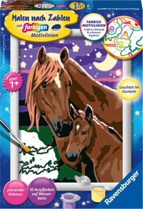 Ravensburger Malen nach Zahlen 27844 - Pferde - Kinder ab 7 Jahren - Acrylmaltafel, Acrylfarben, Pinsel, Rahmen
