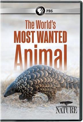 The World's Most Wanted Animal (Nature)