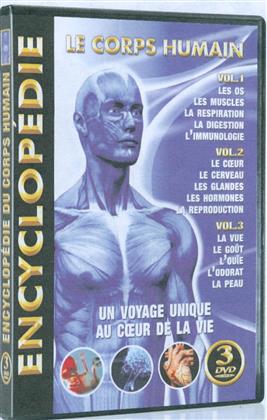 Encyclopédie du corps humain (3 DVDs)