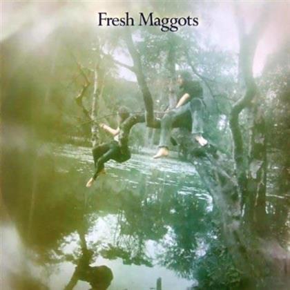 Fresh Maggots - Hatched