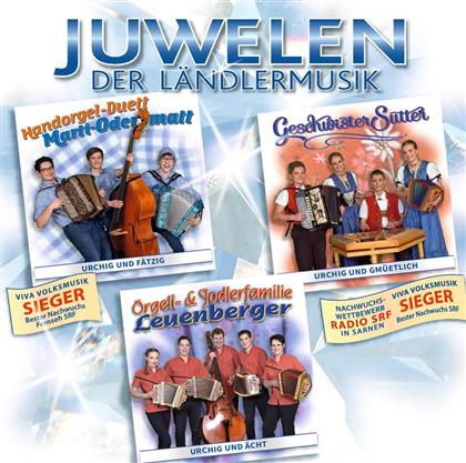 HD Marti-Odermatt, Geschwister Sutter & Familie Leuenberger - Juwelen der Ländlermusik