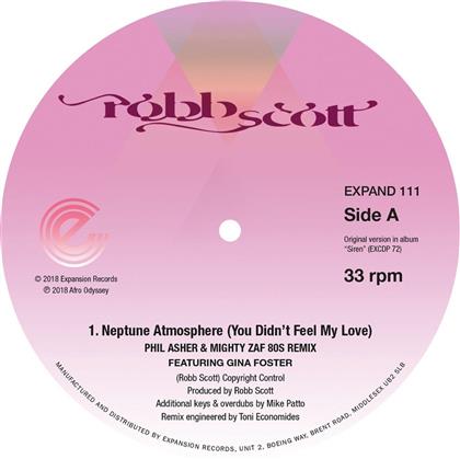 Robb Scott - Neptune Atmosphere (You Didn''t Feel My Love) (12" Maxi)