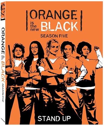 Orange is the new Black - Stagione 5 (5 DVDs)