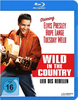 Wild in the Country - Lied des Rebellen (1961)