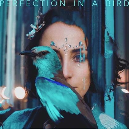 Nojakin - Perfection In A Bird