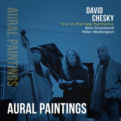 David Chesky - Trio In The New Harmonic: Aural Paintings (MQA CD)