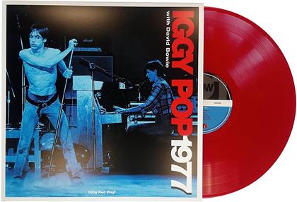 Iggy Pop - 1977 (Not Now Records, LP)
