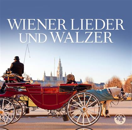 Die Wiener Sängerknaben - Die größten Erfolge