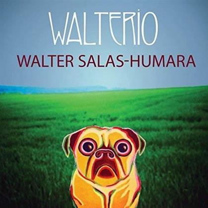 Walter Salas-Humara - Walterio (LP)