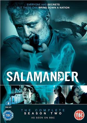 Salamander - Season 2 (4 DVDs)