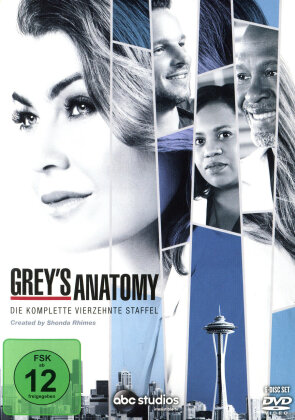 Grey's Anatomy - Staffel 14 (6 DVD)