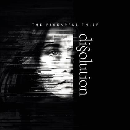 The Pineapple Thief - Dissolution (LP)
