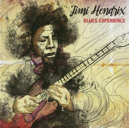 Jimi Hendrix - Blues Experience (LP)
