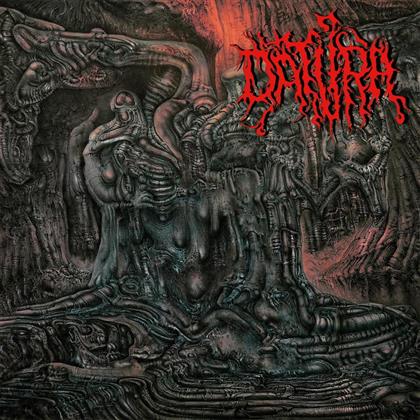Datura - The Amplitudes Of Pacificacion