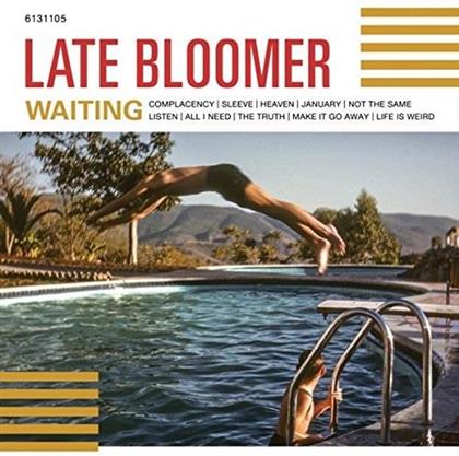 Late Bloomer - Waiting